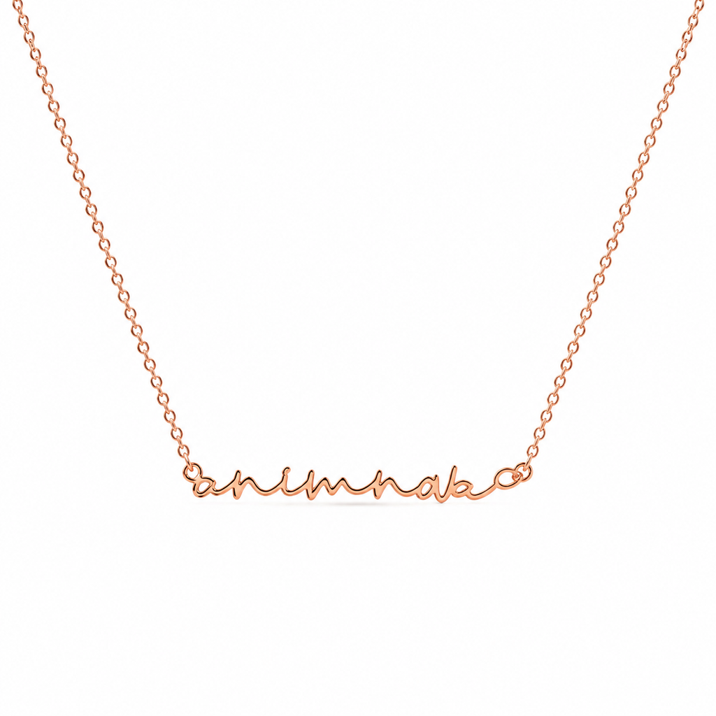 Petite Name Necklace — Stainless Steel